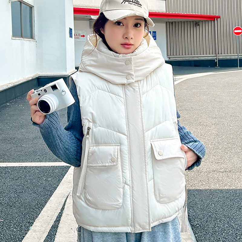 2025 Grote Zak Los Vest Met Ca - Puffer Vest Fashion Women recensie en prijs